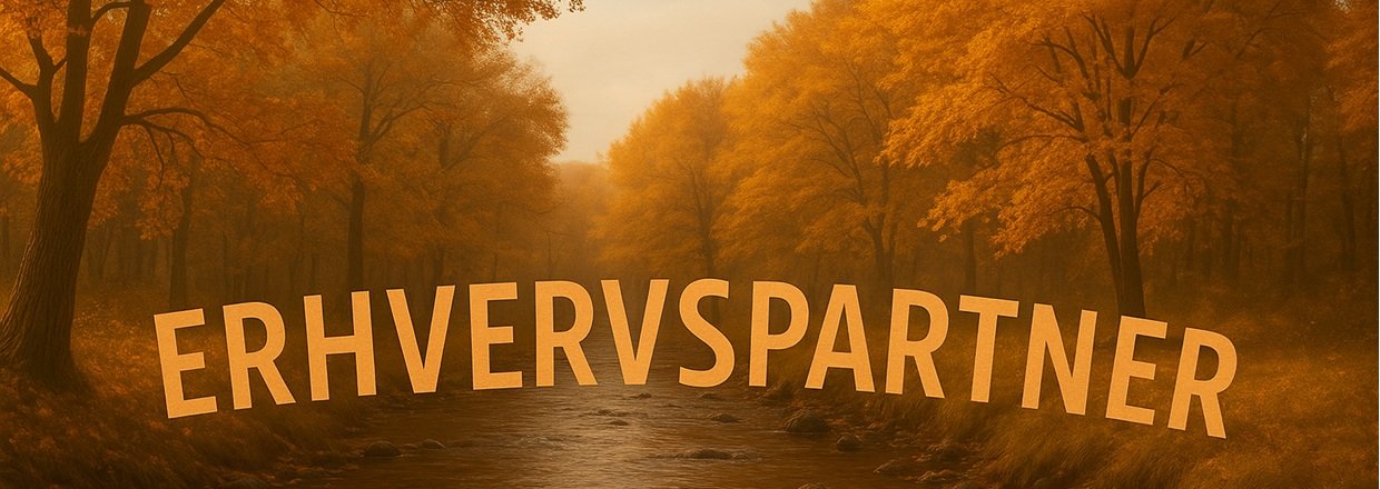 Hvad skal der egentlig til for at starte sin egen virksomhed?